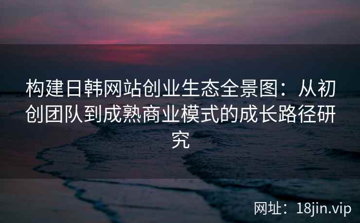 构建日韩网站创业生态全景图：从初创团队到成熟商业模式的成长路径研究