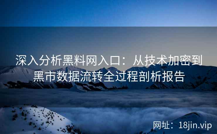 深入分析黑料网入口：从技术加密到黑市数据流转全过程剖析报告