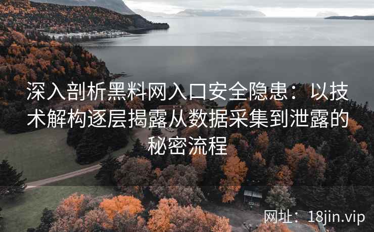 深入剖析黑料网入口安全隐患：以技术解构逐层揭露从数据采集到泄露的秘密流程