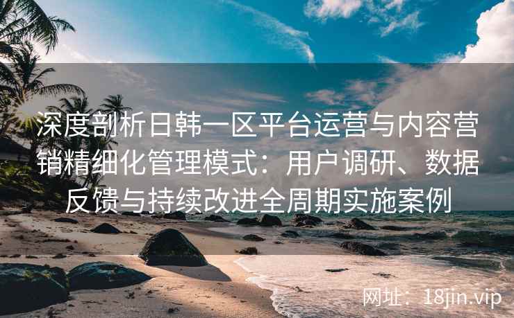深度剖析日韩一区平台运营与内容营销精细化管理模式：用户调研、数据反馈与持续改进全周期实施案例